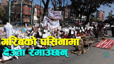  हलो र जुवासहित काठमाडौंमा मोही किसानको प्रदर्शन [भिडियो/फोटो फिचर] 